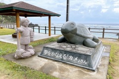 奄美大島①
