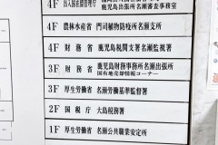 奄美大島⑤